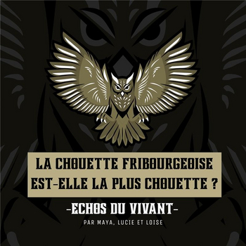 Image - chouette.jpg