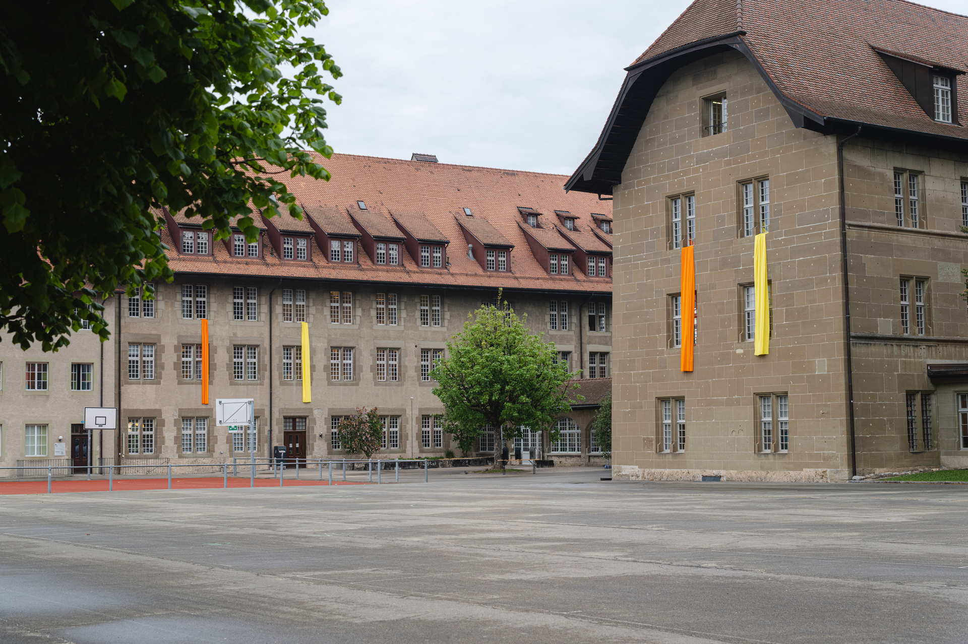Image - 20260429-Farbenwoche-gelb-004.jpg