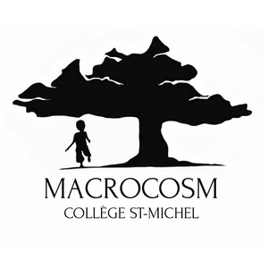 Image - Logo-Macrocosm-1000-pixels-carre.jpg
